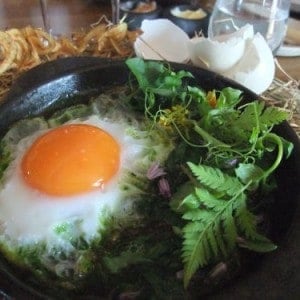 noma