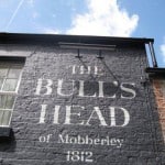 bulls head