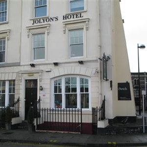 joylons