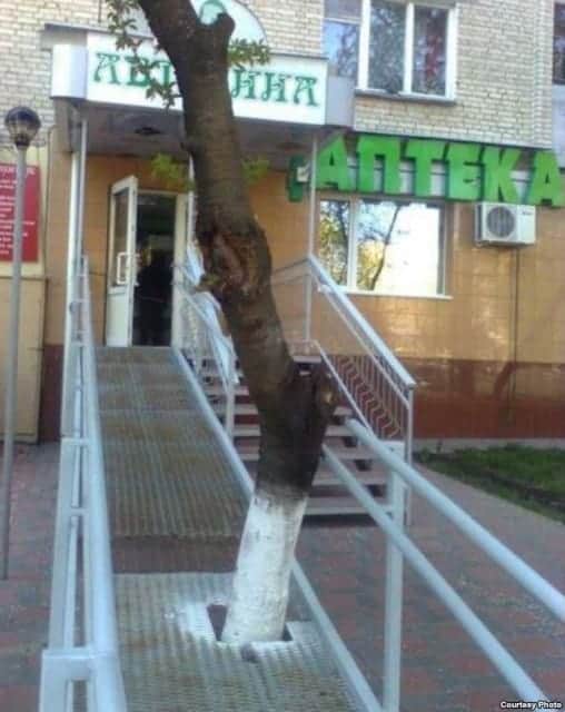 Are you supposed to go over this tree or under it? You definitely aren't going round it.