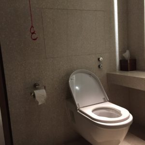 Cafe Royale Winner of Ludicrous Loo - Can You See Why? For The Uninitiated You Need Grab Rails