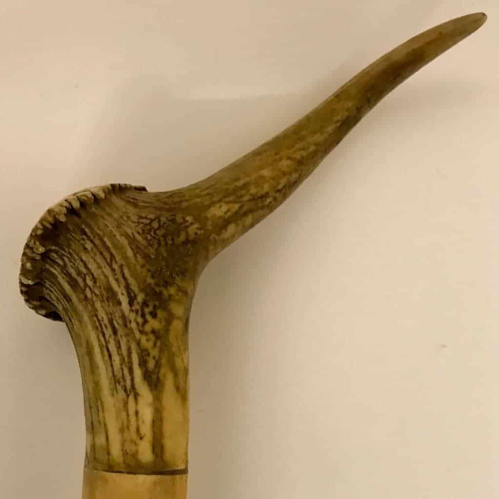 Guinstick Horn 4