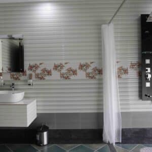 The Bathroom is Modern, With Flat Access & Walk In Shower. No Grab Rails on Show?!